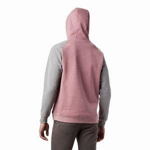 Columbia Hart Mountain™ II Skinna Hoodie Herr Rosa/Grå (IJPZF4182)